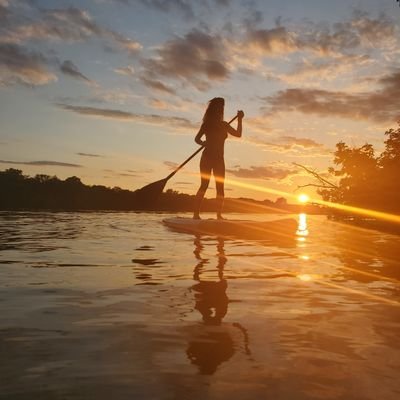 Rose55993214's profile picture. 