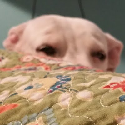 IDKGames4's profile picture. 