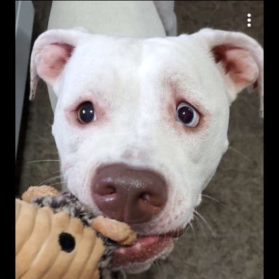 sd_oxo's profile picture. 