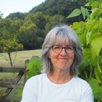 Susan Young (@growing_beans) 's Twitter Profile Photo