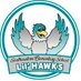 Southeastern Elementary School (@seelilhawks) Twitter profile photo Southeastern Elementary School (@seelilhawks) Twitter profile photo