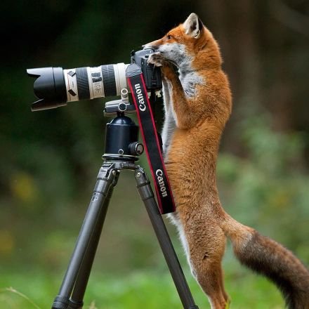 HotBoy0x0x0x's profile picture. Help me Sexy girls ☺️☺️☺️