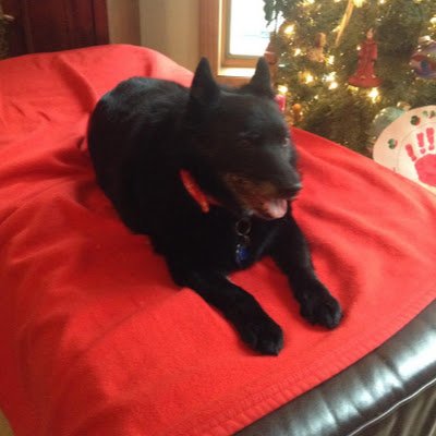 Itz_J0RD0's profile picture. 