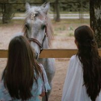 أماني (@vw_2r) 's Twitter Profile Photo