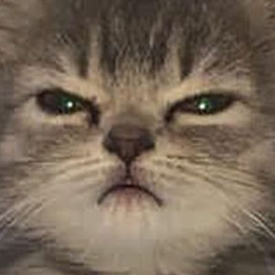 canadianpandaxd's profile picture. im a angry Canadian