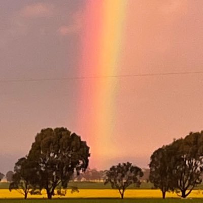 Family farmer of 40 odd years-and still learning the ropes!