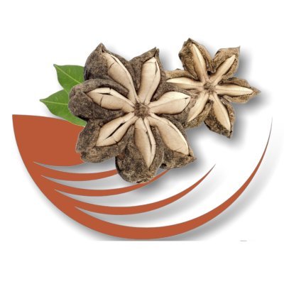 mega_sacha's profile picture. Empresa Colombiana con experiencia en la siembra, transformación y comercialización del Sacha Inchi.