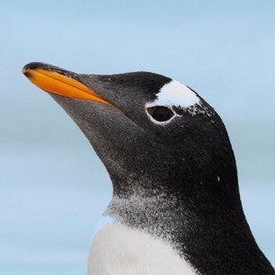 Live Linux Seminar in Augsburg für Einsteiger und Umsteiger. Sicher, frei und privat arbeiten, chatten, spielen. Deine Daten gehören dir.