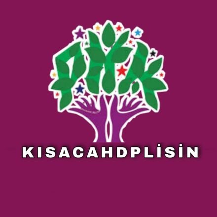 kisacahdplisin Profile Picture