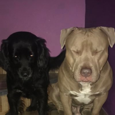 FabianValleTZ's profile picture. 🤙🏻Just another Weirdo...