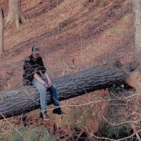 Gavin Carroll (@pow150900) 's Twitter Profile