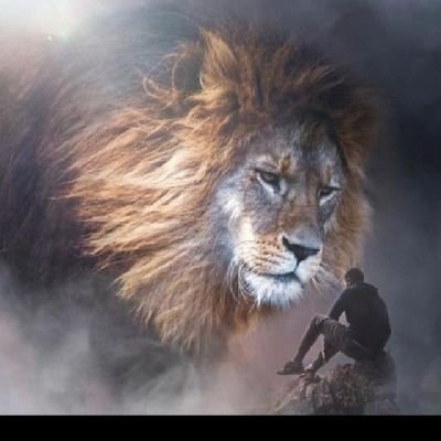 babar_985's profile picture. #Bitcoin