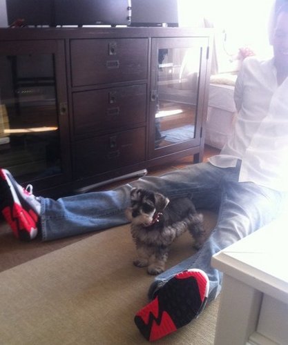 DonJuanHates's profile picture. I'm honest, so people think I hate.