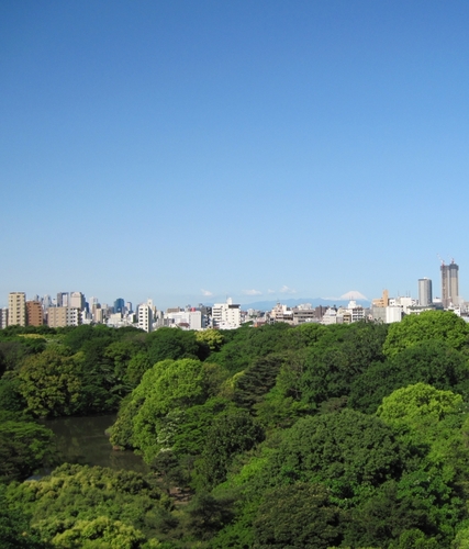 遠く元禄時代に柳沢吉保の下屋敷として造営された大名庭園の＜六義園＞を住み処としている＜カラス＞です。周りには、高いビルが建ってしまったものの、晴れた日には丹沢連峰や富士山を見ることができます。ここから、ひねもすカアカアとつぶやきます。