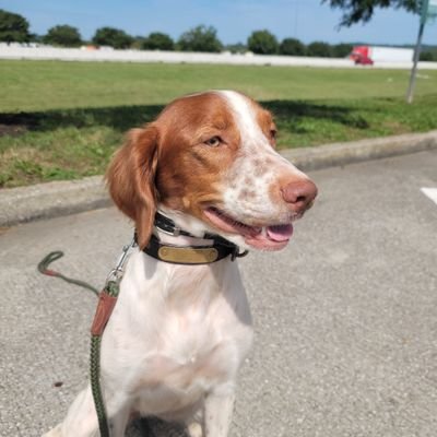 drskaggs519's profile picture. 