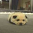 Mushiisushii's profile image