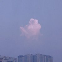 噗 (@chuxin_s) 's Twitter Profile Photo