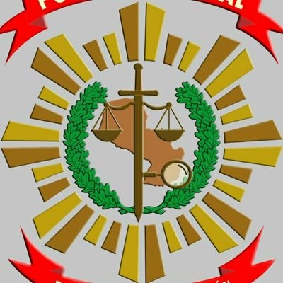 Dirección de Investigación de Hechos Punibles - Policia Nacional del Paraguay