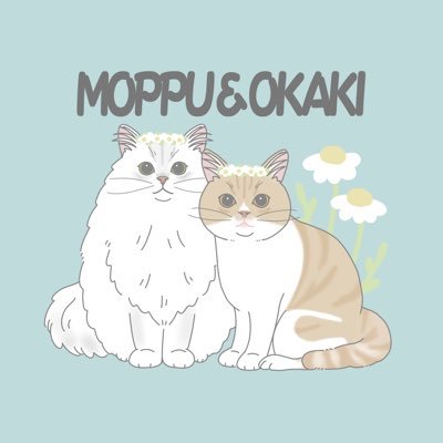 おかき🐾もっぷさんのプロフィール画像