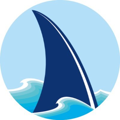 bluefingroup Profile Picture