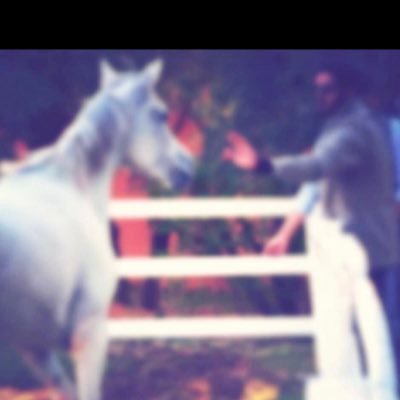أجمل ما تكونُ أن تُخلخلَ المدى والآخرون, بعضهم يظنّك النّداءَ, بعضهم يظنّك الصّدى