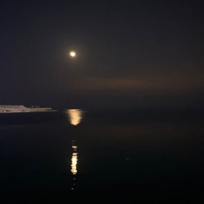 sajjrah's profile picture. أنا لوحـدي دولة