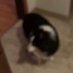 Maybe: dickmills11 (@dickmills11) Twitter profile photo