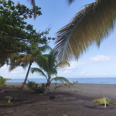 13_lddr's profile picture. 