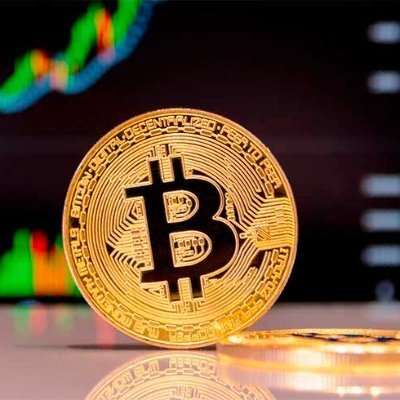 igorduartereal's profile picture. Cryptocurrency Investor