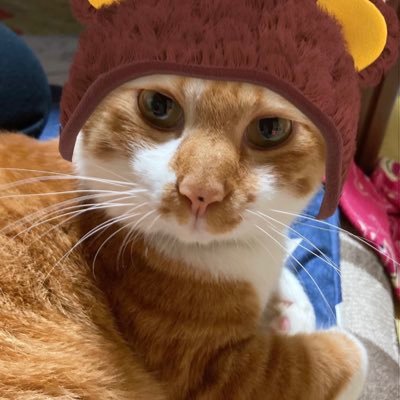 ACh5js8s3qTf3Hp's profile picture. 😺大好きで😺と娘と暮らしてます😊 YouTube大好き💕特に心霊系観てます😊 ヨロシクお願いします😅