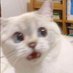 random person (@randomp40714546) Twitter profile photo random person (@randomp40714546) Twitter profile photo