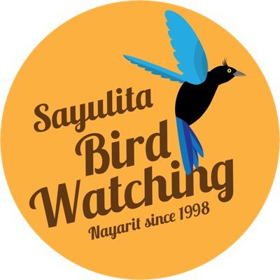 Professional Birding guide in Sayulita and the Mexican West-Private, Groups and multiple-day trips.