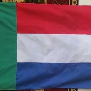 der_danie's profile picture. 