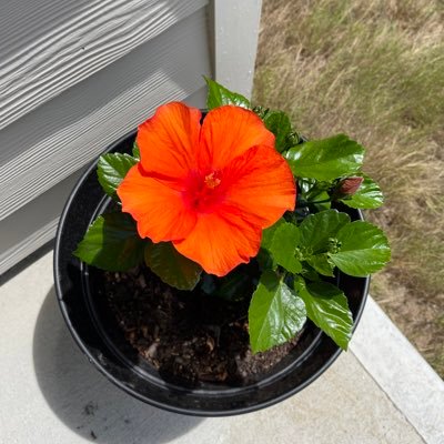 Rocky_GNT's profile picture. Rockz