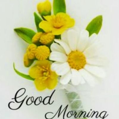 iamhacker9090's profile picture. Hauàau