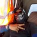 Anderson (@anderso33308242) Twitter profile photo Anderson (@anderso33308242) Twitter profile photo