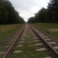 Olaf Dramowicz (@olafdramowicz) 's Twitter Profile