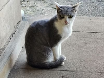 southerncross_7's profile picture. 