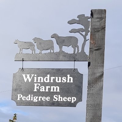 Sheep farmers in the Cotswolds - 6 pedigree breeds + an RBST reg. flock. All MV. We love @coggeswitney