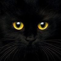 Syntax_2112 | W3GG (@gmwewell) 's Twitter Profile Photo Syntax_2112 | W3GG (@gmwewell) 's Twitter Profile Photo