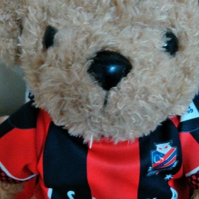 shinobuhori89's profile picture. 初めましてぇm(__)m特撮系イケメン俳優さん大好き＼(^O^)／スポーツ大好きな性格男勝りな女の子ですm(__)mヨロシクでしゅ☆彡サッカー専用アカウント作ったのでフォローお願いいたします(*≧∀≦*)→shino89soccer