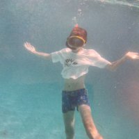 @1SamC π± (@1samc) 's Twitter Profile