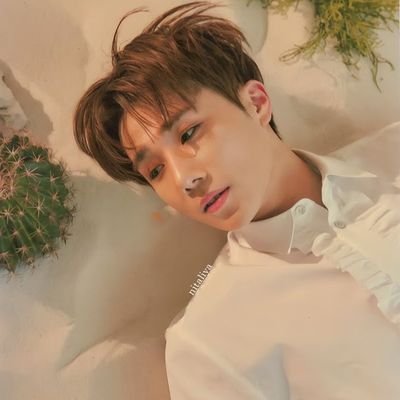 inspirit1989's profile picture. multi