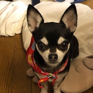 nobbytkhs's profile picture. 