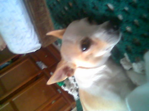 efraincamarena1's profile picture. 