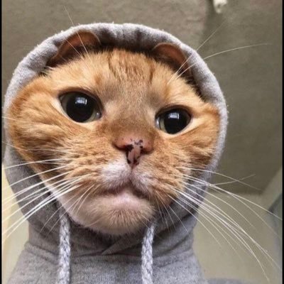 gstnansyh13_'s profile picture. follow my instagram @Gustianariansyah