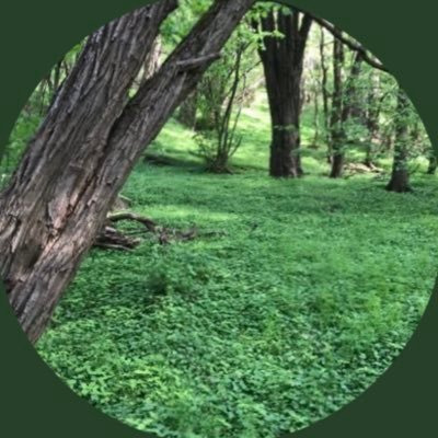 TorlifTostorson's profile picture. Interested in artificialintelligence and tools against disinformation.