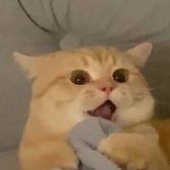 J0k1r329's profile picture. 0m