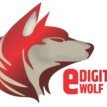 Edigitalwolf1's profile picture. marketing agency