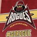 NL Rogues (@gonlrogue) Twitter profile photo